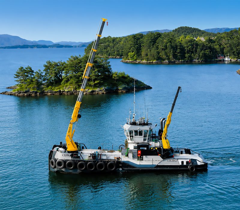 HEILA HLRM knuckle telescopic marine crane